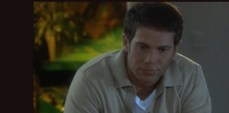 Steve Anderson Davis